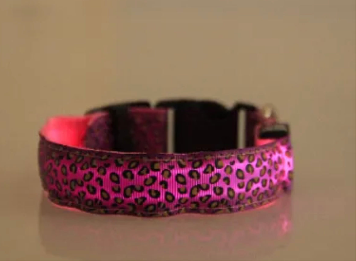 LED Dog Collar Safety Adjustable Nylon Leopard Pet Collar